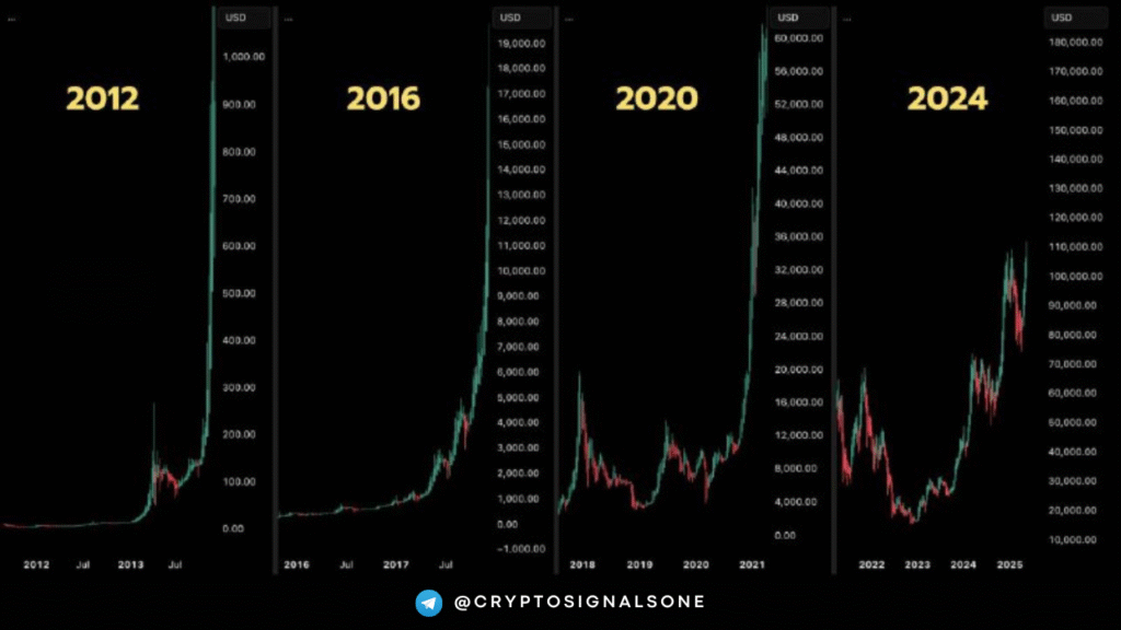 Bitcoin 2024 Mirrors Previous Bull Cycles: Will History Repeat Itself?